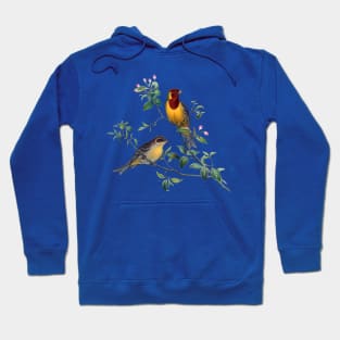 Red Headed Bunting Birds Hoodie